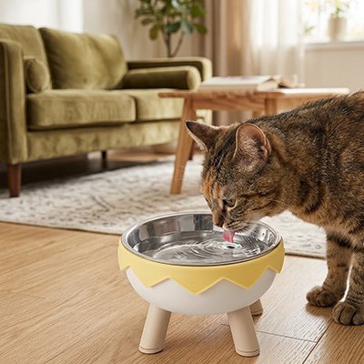 Gamelle surélevée chat