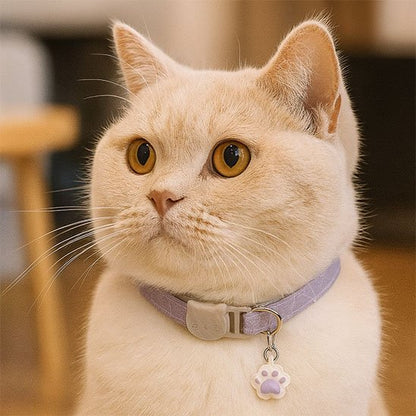 Collier chat