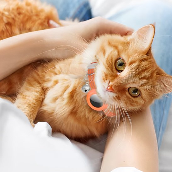 Collier GPS chat 