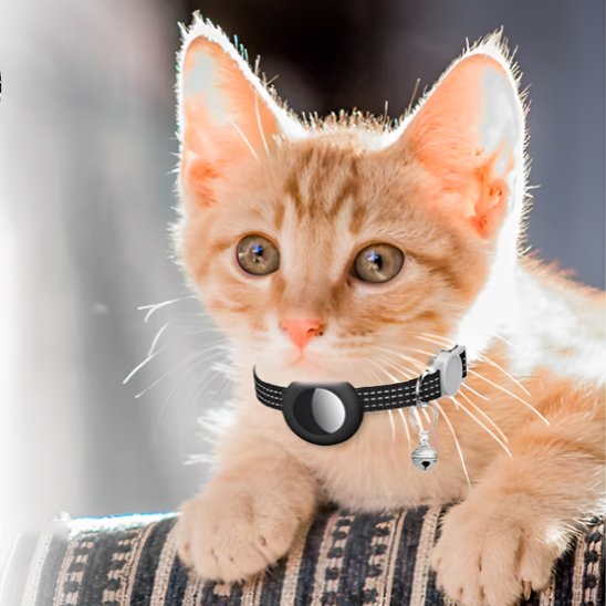 Collier GPS chat 
