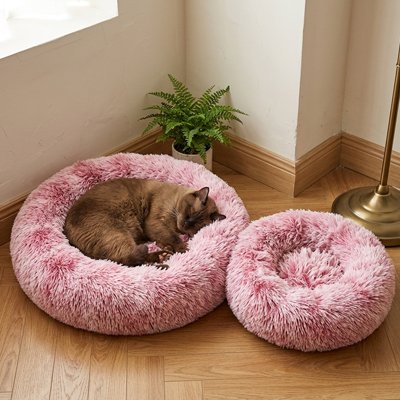 Coussin pour Chat 