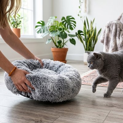 Coussin pour Chat 