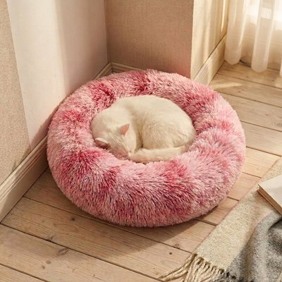 Coussin pour Chat 