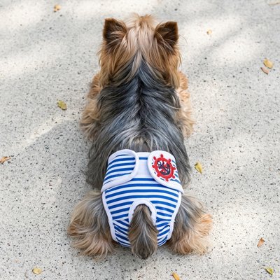 Culotte chien 