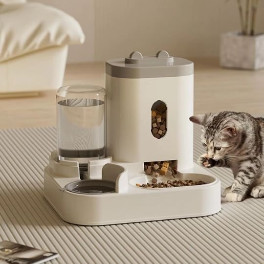 Distributeur croquette chat