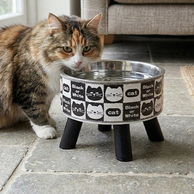 Gamelle Chat surélevée 