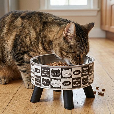Gamelle Chat surélevée 