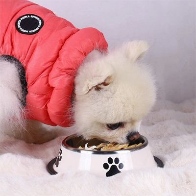 Gamelle Chien