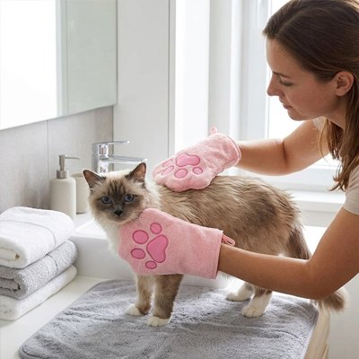 Gant de toilettage