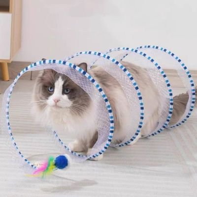 Jeux pour chat 