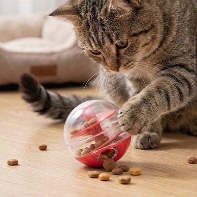 Jouet pour Chat 