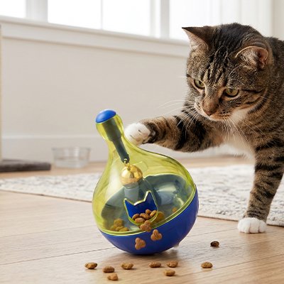 Jouet pour Chat 