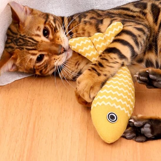 Jouet pour chat