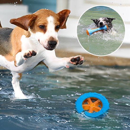 Jouet pour chien