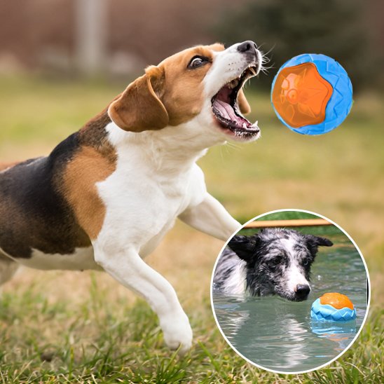 Jouet pour chien