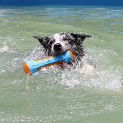 Jouet pour chien