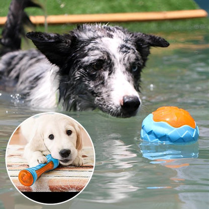 Jouet pour chien