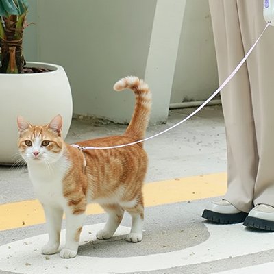 Laisse pour Chat 