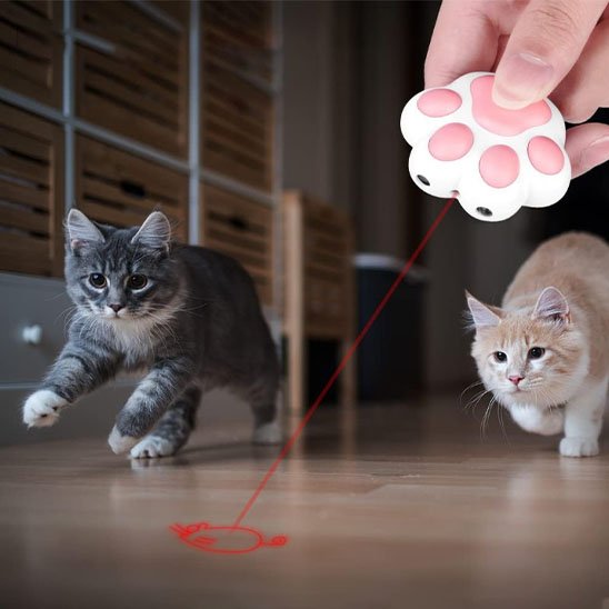 Laser pour chat
