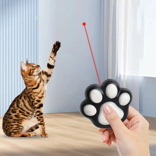 Laser pour chat
