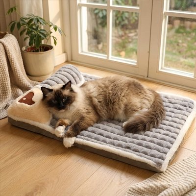 Lit pour Chat