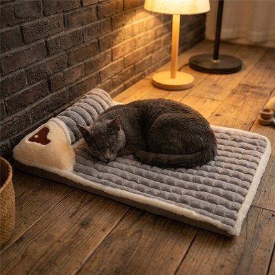Lit pour Chat