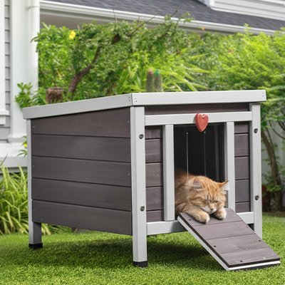 Niche exterieur pour Chat 