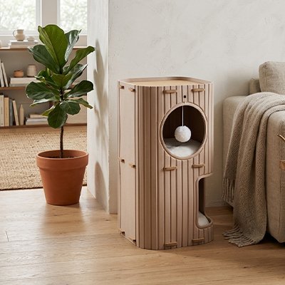 Niche pour  chat 