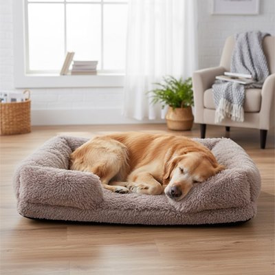 Panier Chien 