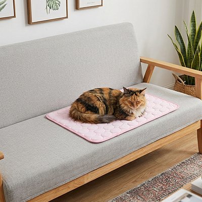 Tapis rafraichissant Chat 